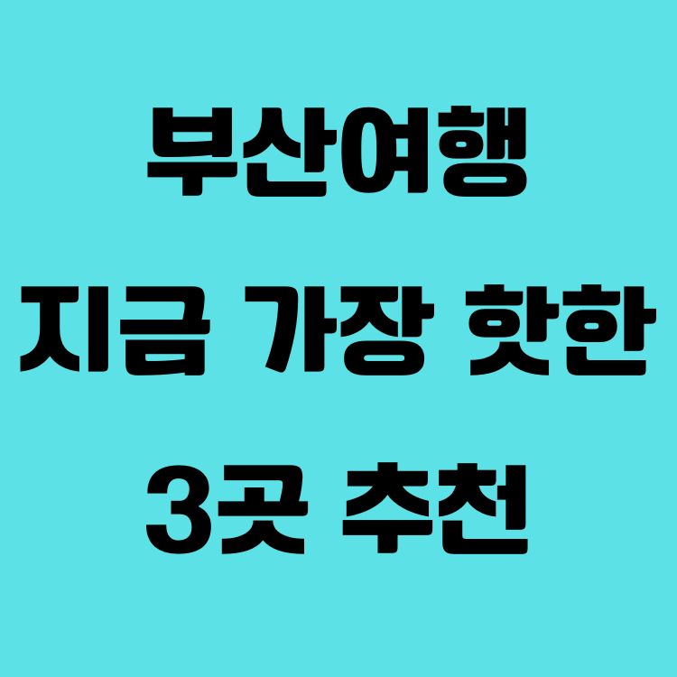 부산여행, 지금 가장 핫한 3곳 추천|풍경·감성·역사 모두 담았다