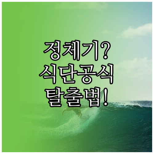 다이어트 정체기 탈출 방법 및 식단 ..