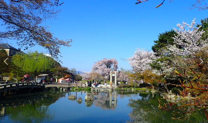 교토 마루야마공원