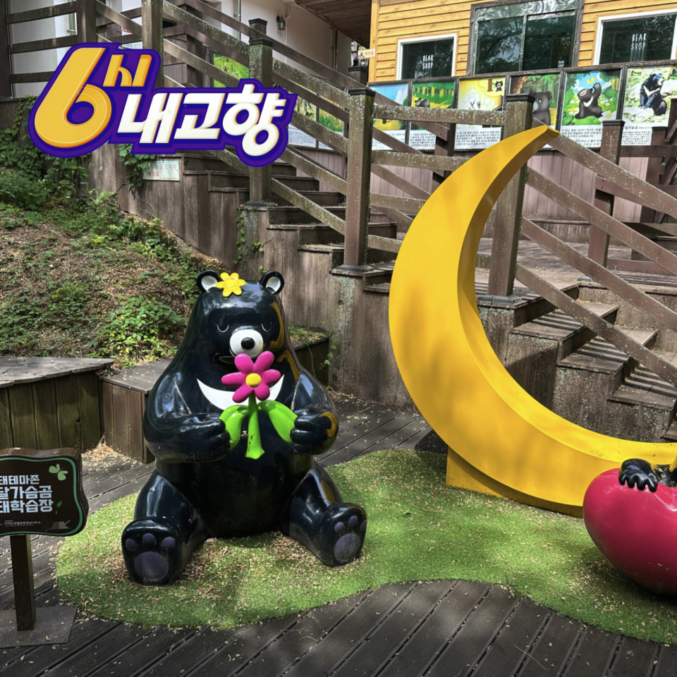 6시 내고향 하동 의신베어빌리지 반달가슴곰 체험 위치 예약 정보