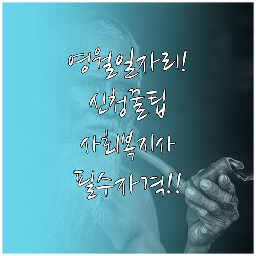 영월군 노인일자리 신청 방법과 시니어..