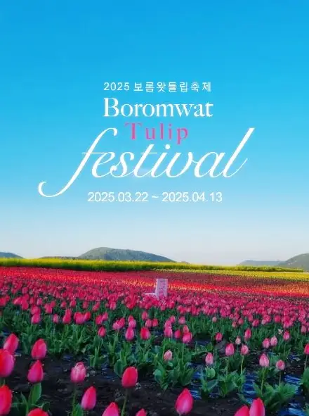 제주 보롬왓 튤립축제 포스터