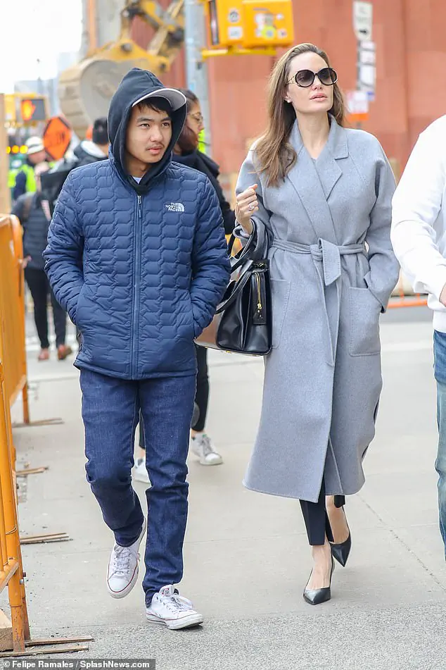 안젤리나 졸리 양아들 매덕스