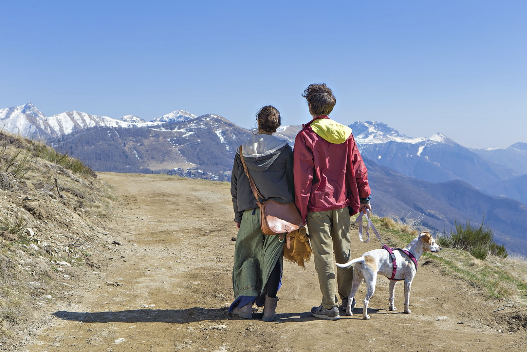 여유롭게 산책하는 가족 사진 이미지