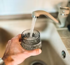 혈액순환에 좋은 음식