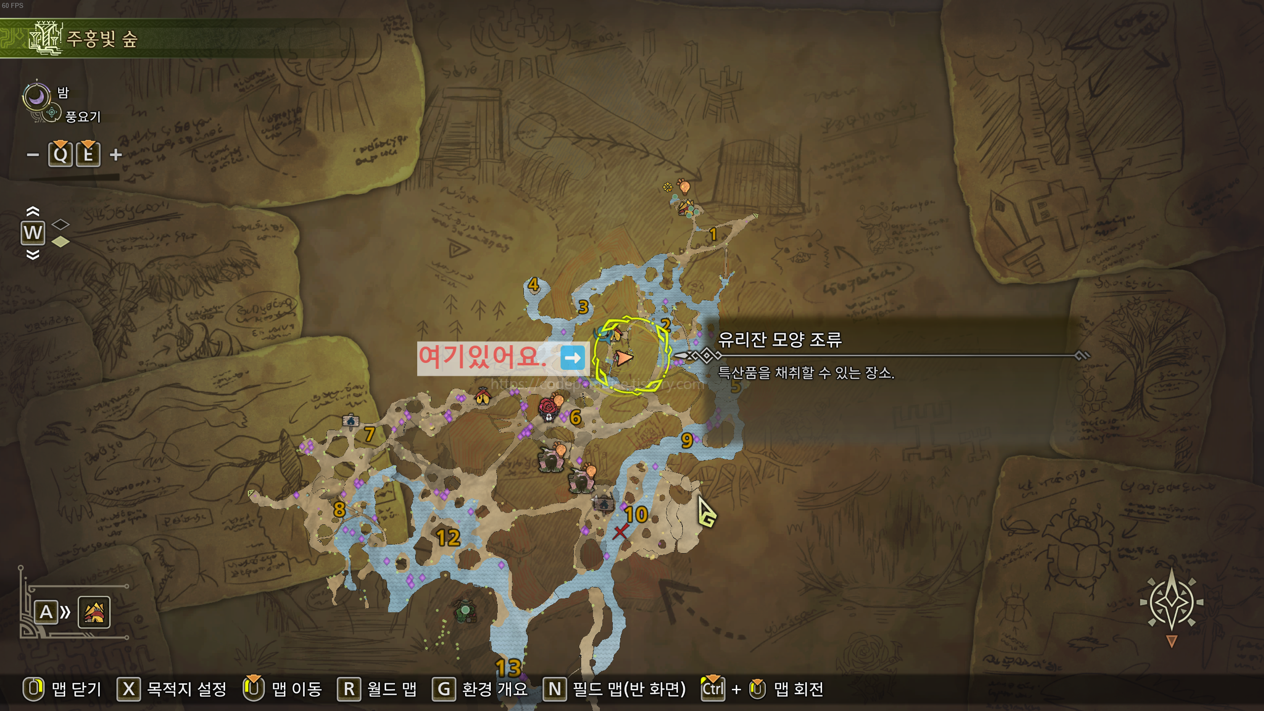 맵.jpg