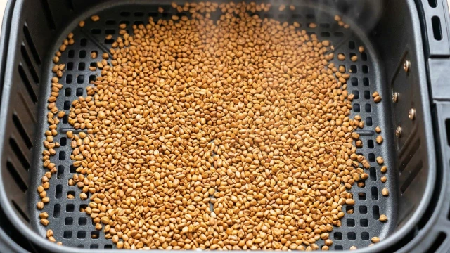 에어프라이어로 볶은 결명자 &mdash; 균일한 황갈색 완성