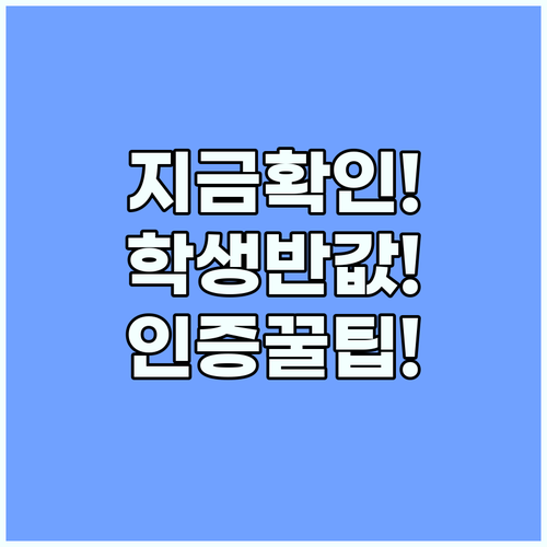 학생이라면 반값 유튜브 프리미엄 인증..