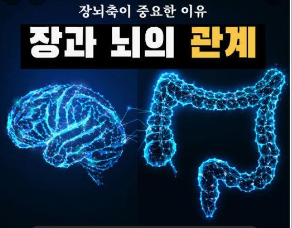 장과뇌