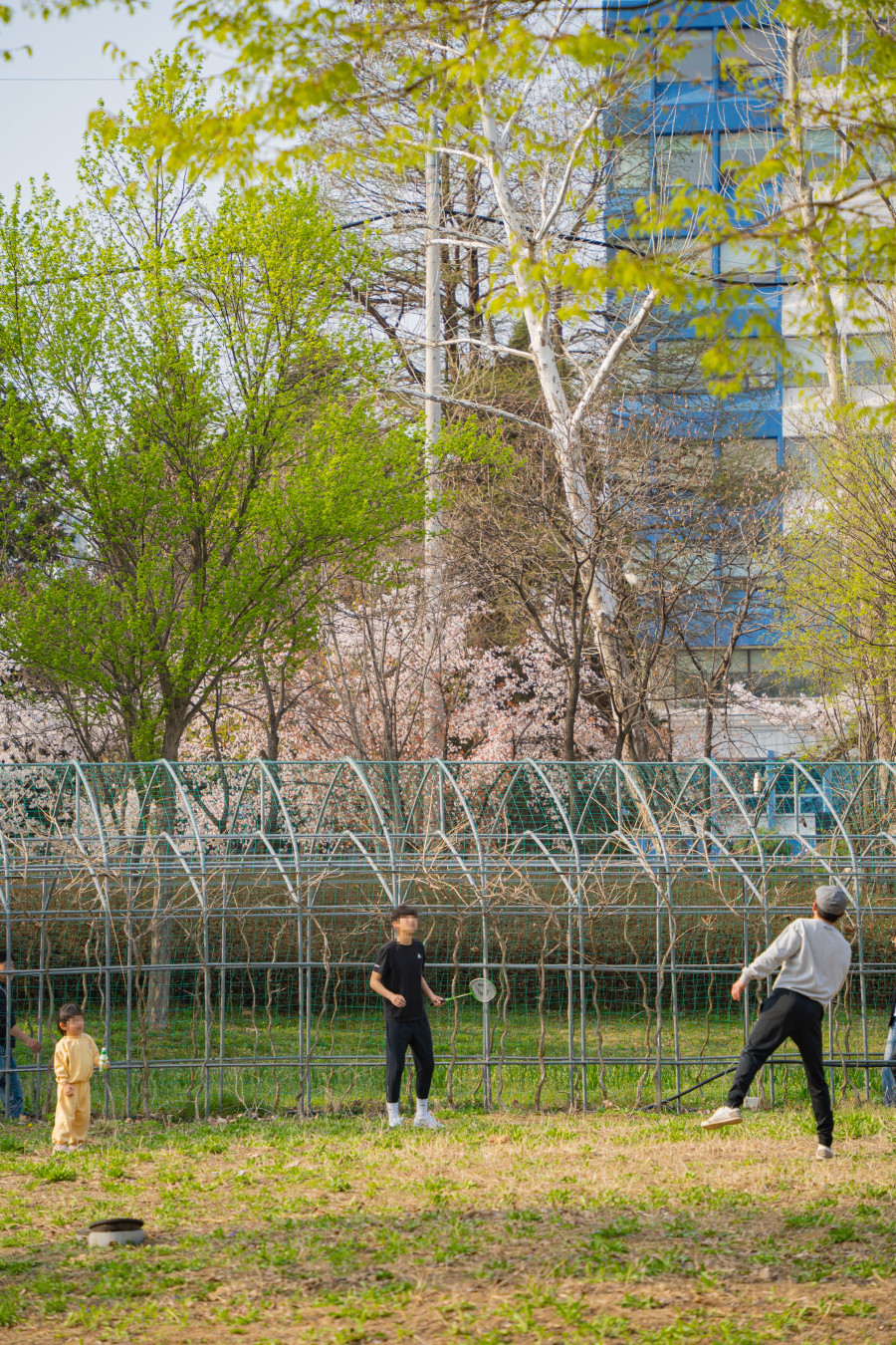 수원 서호공원 배드민턴