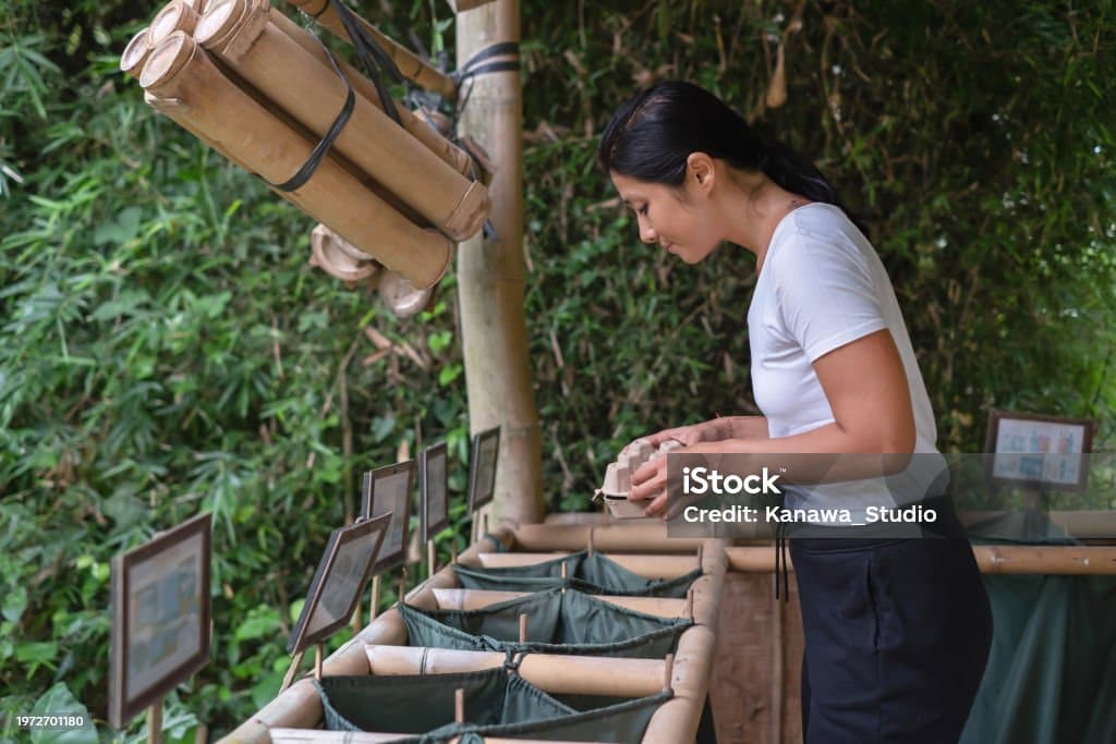 대나무로 건축하기: 강철보다 강한 친환경 자재의 가능성
