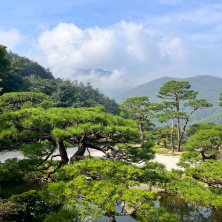 화담숲 예약