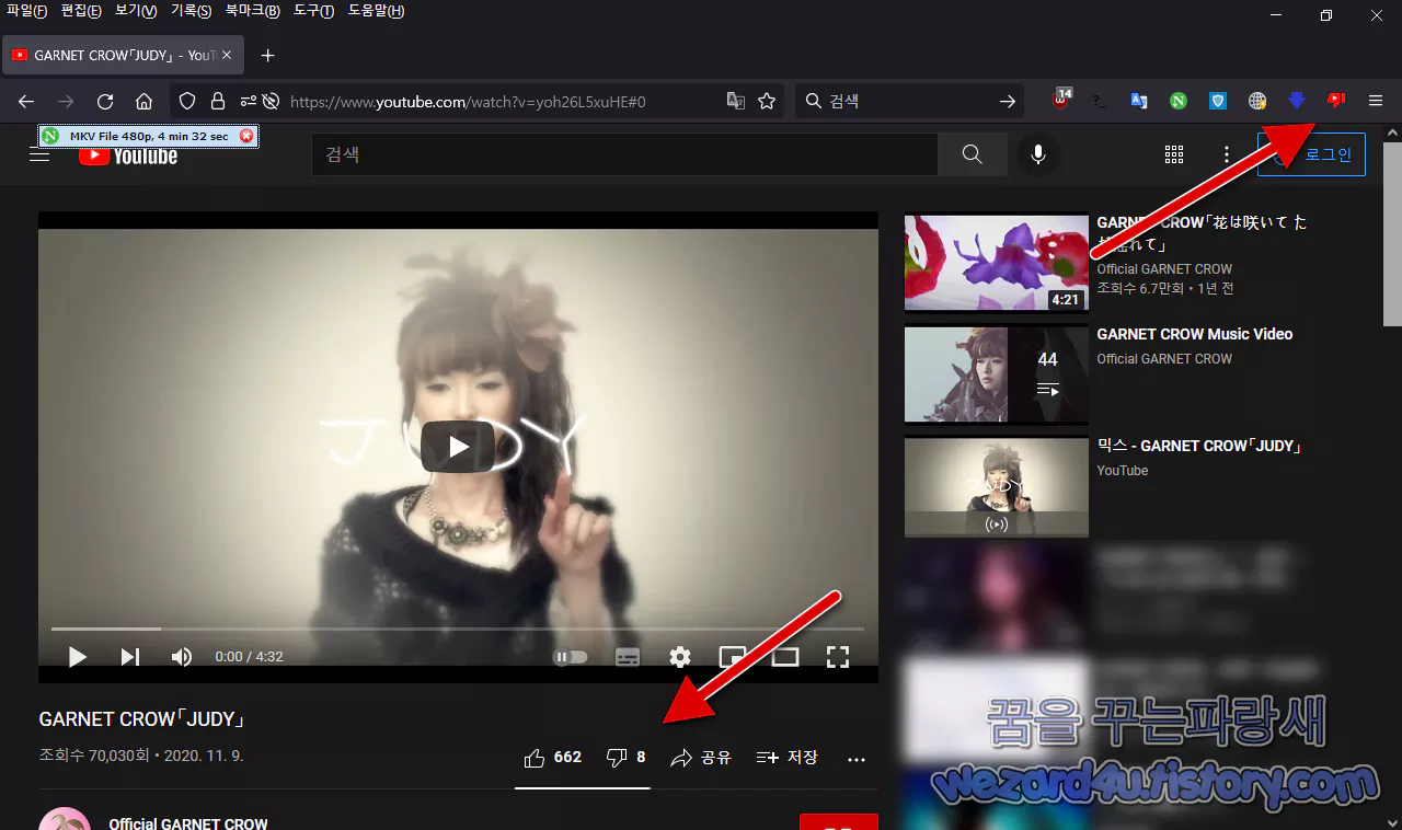 Return Youtube Dislike 활성화
