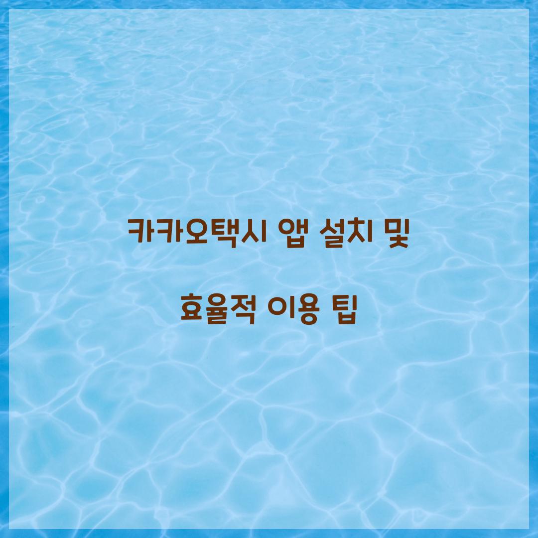 카카오택시 앱 설치