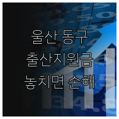 울산 동구 출산지원금 2025 최신 ..