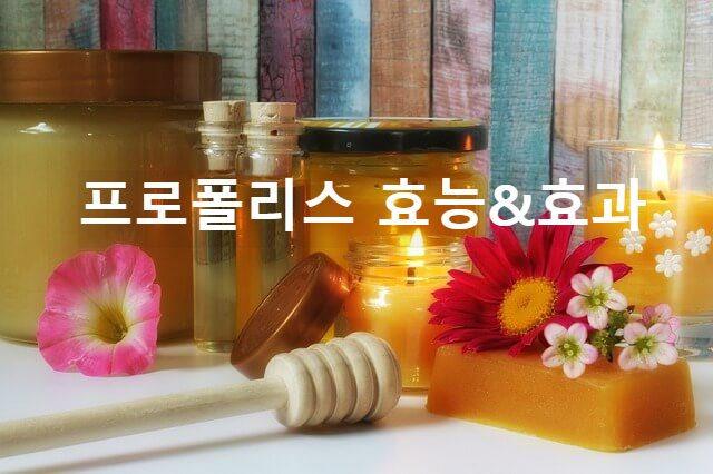 프로폴리스 효능 부작용 그리고 복용법