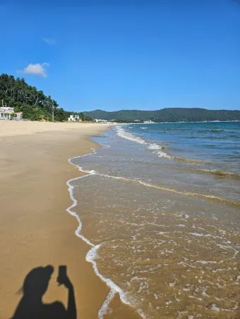 완도 맛집 베스트10 숨겨진 남도 해산물_16
