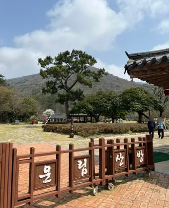 진도 가볼만한 곳 BEST 5 진도 5일장부터 케이블카로 추천_13