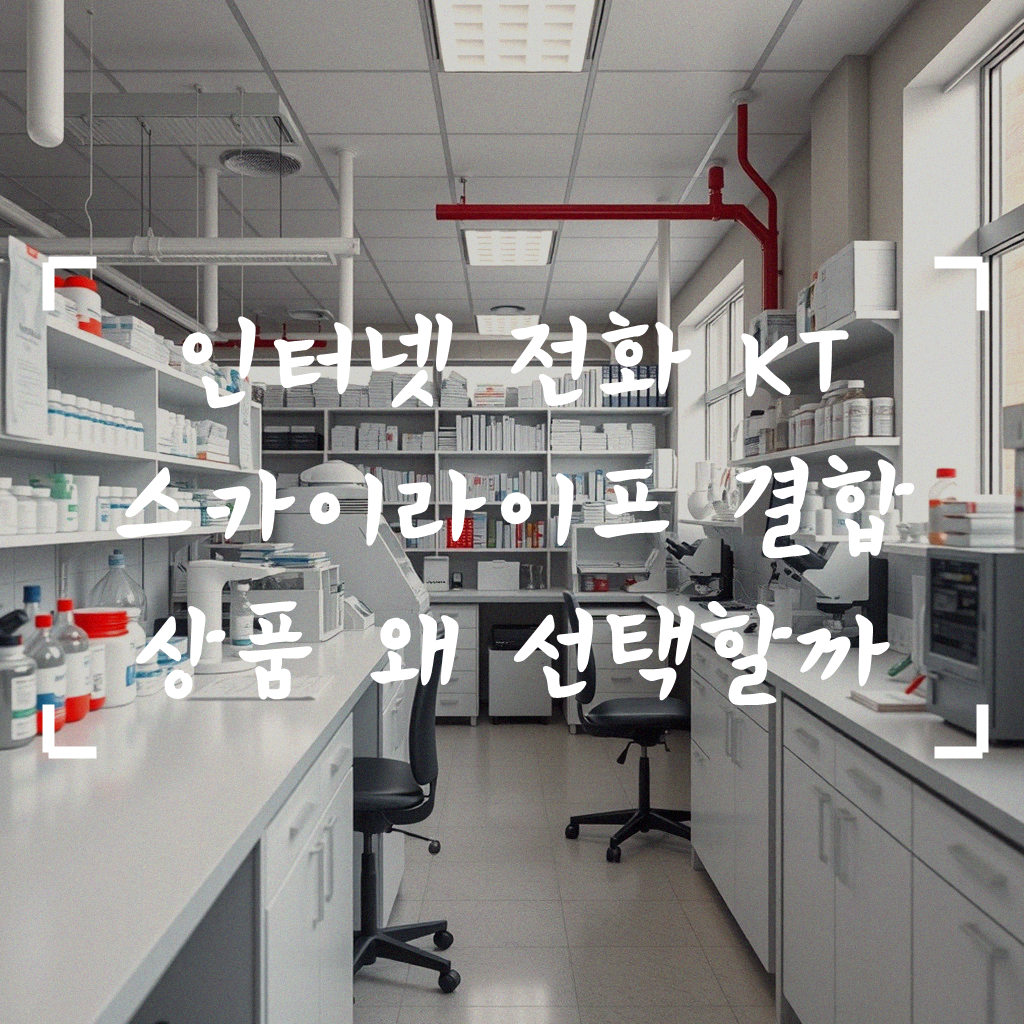 인터넷 전화 KT 스카이라이프 결합 상품, 뭘 보고 골라야 할까