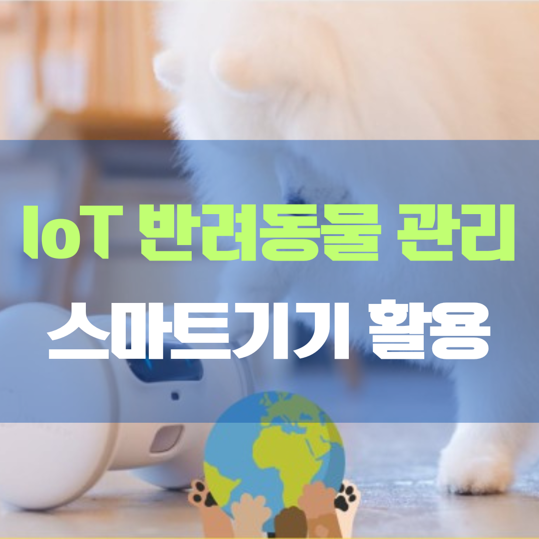 IoT 반려동물 관리 스마트 기기로 향상된 반려동물 생활