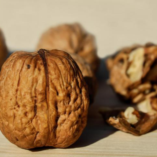 지방간에 좋은 음식 호두