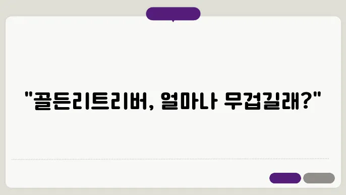 골든리트리버몸무게 알아보기