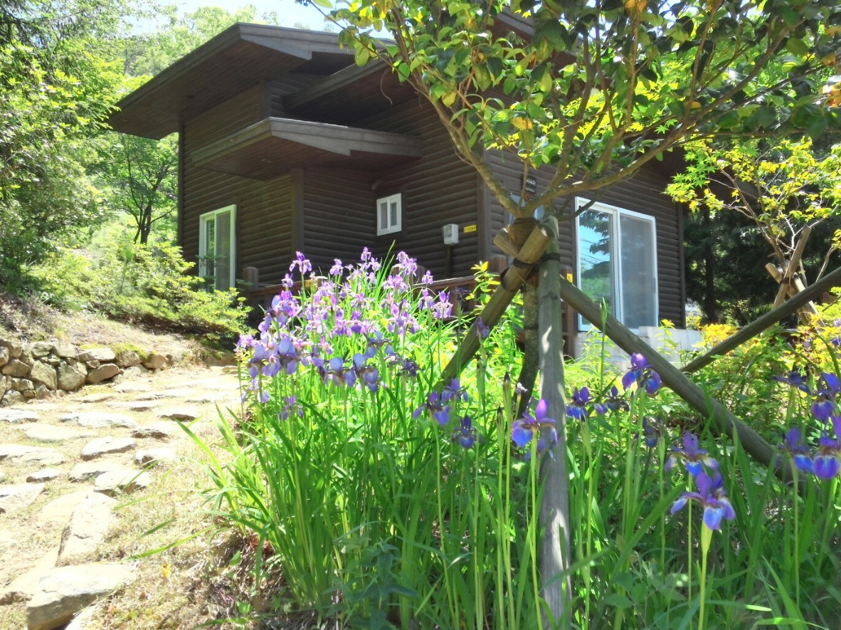 국립-천관산-자연휴양림