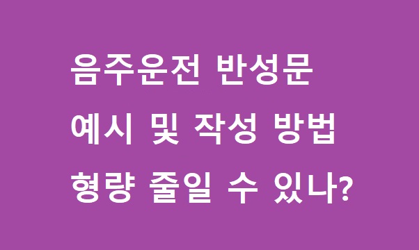 음주운전 반성문 예시