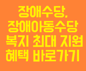 복지로 정부 복지 최대 혜택 장애수당, 장애아동수당 간편하게 신청 바로가기