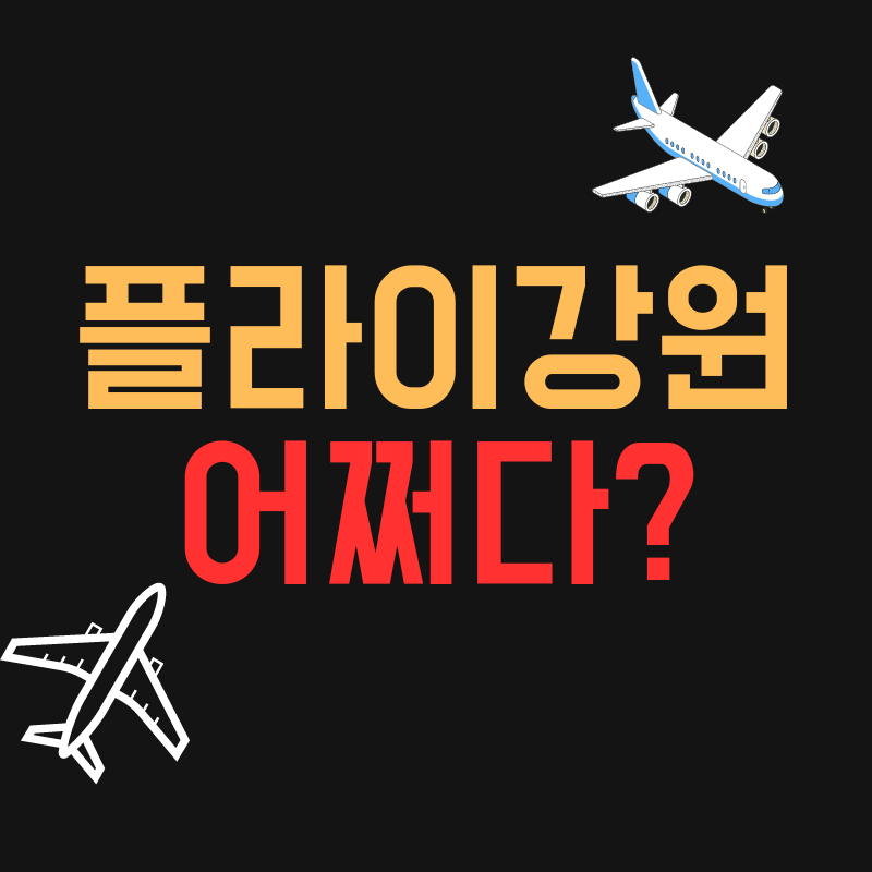 플라이강원 항공편중단 예약자 보상신청