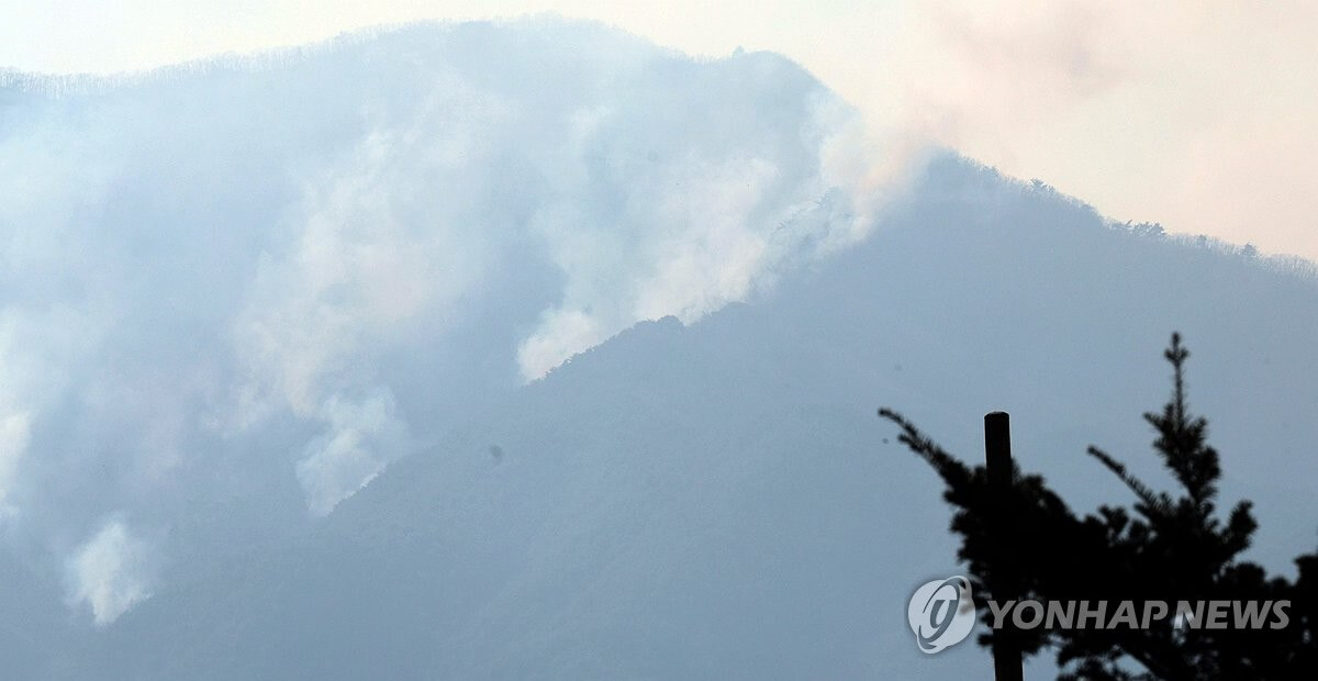 지리산 산불 현황