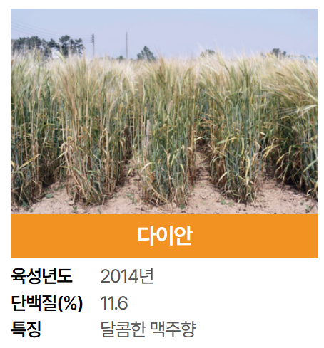 2025 군산 수제맥주 블루스 페스티벌