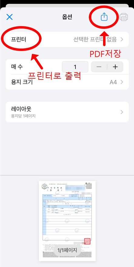 모바일 증명서 출력 옵션 선택 화면