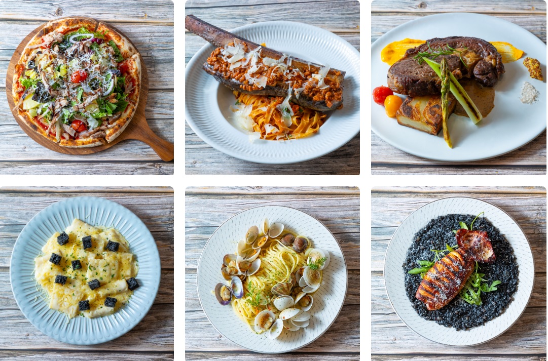 용인 자작나무숲 가을꽃축제