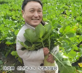 무 재배 솎아주기 토양 소독 비닐 멀칭_8