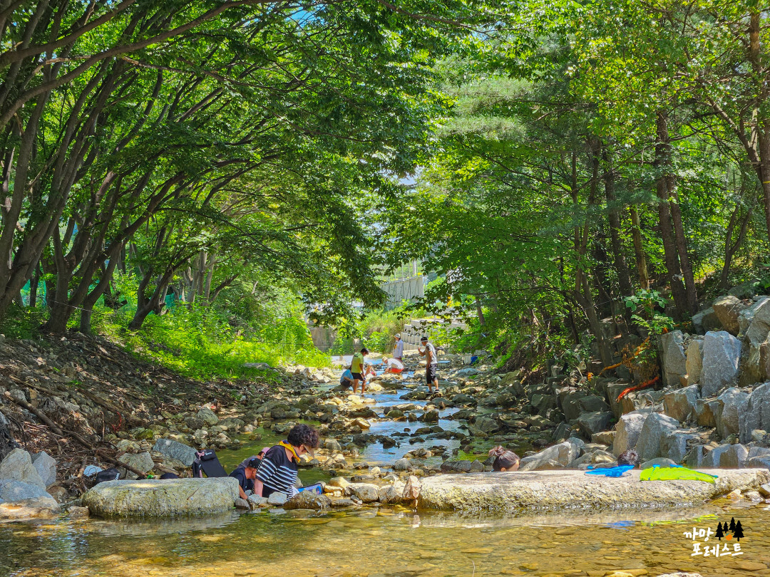 용인 고기리 계곡 풍경