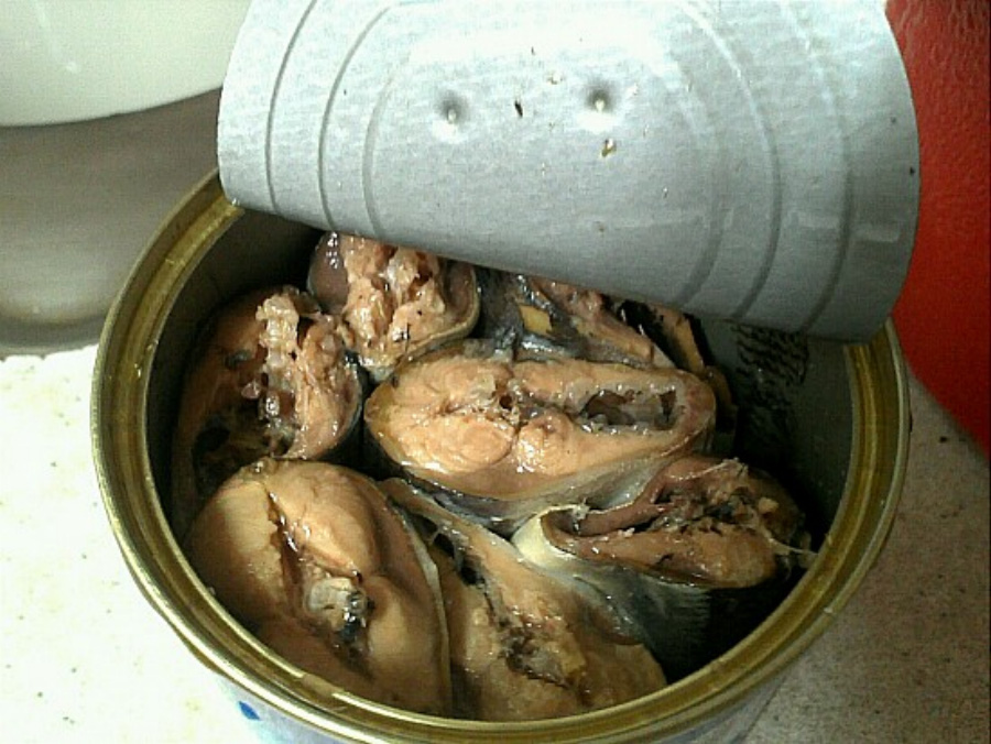 시중에서 팔고 있는 꽁치통조림을 뚜껑을 따서 국물을 조금 버린 후에 깡통 속의 꽁치가 잘 보이게끔 놓아두고 찍은 사진