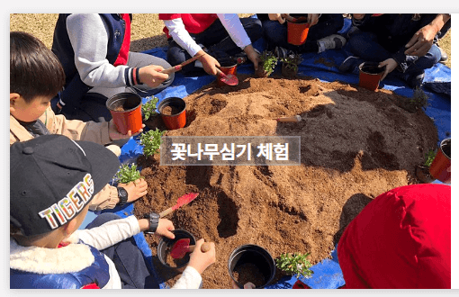 장흥 하늘빛수목정원 튤립축제