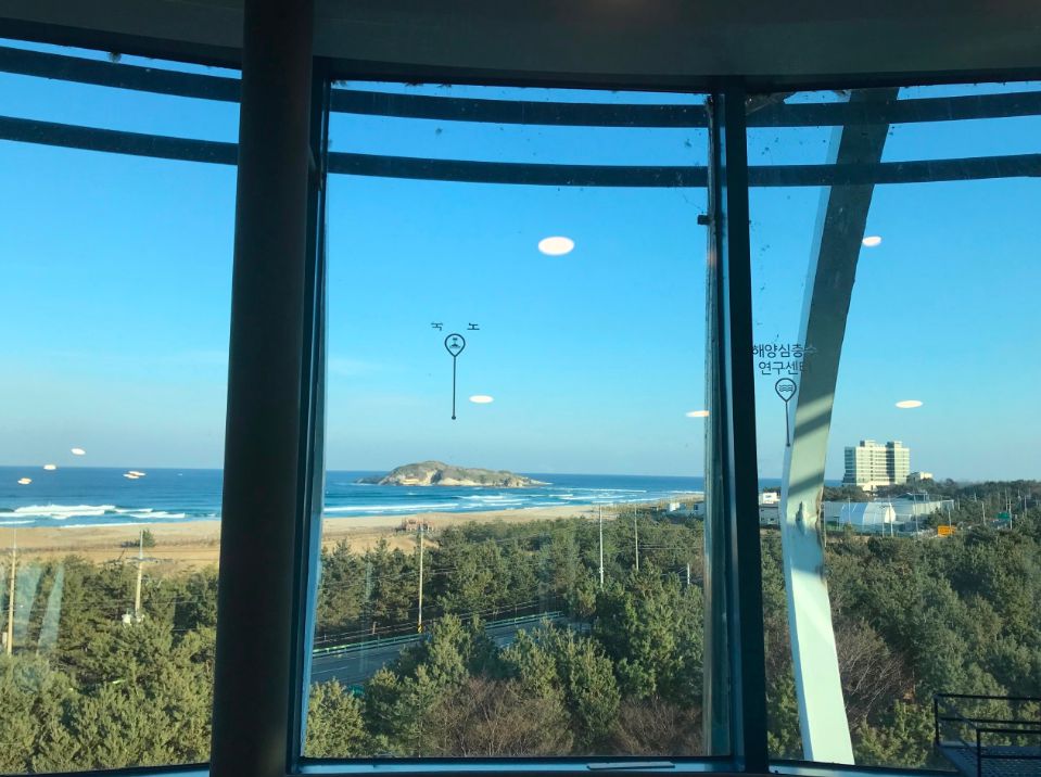 송지호관망타워