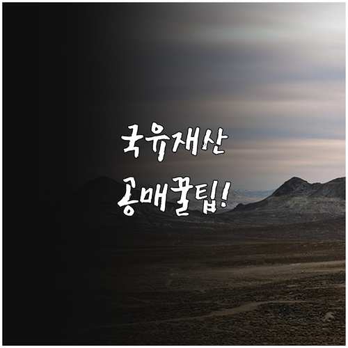 국유재산 토지 공매 완벽 정리 물건 ..