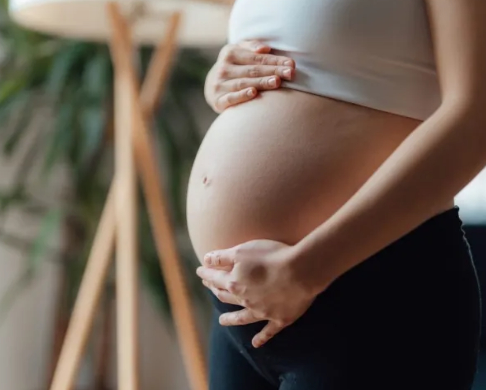 출산 지원 정책