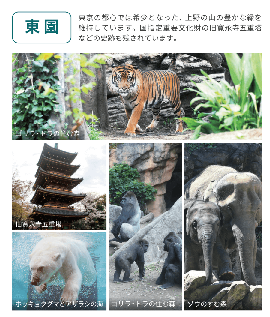 우에노 공원 동물 귀엽다 멋지다