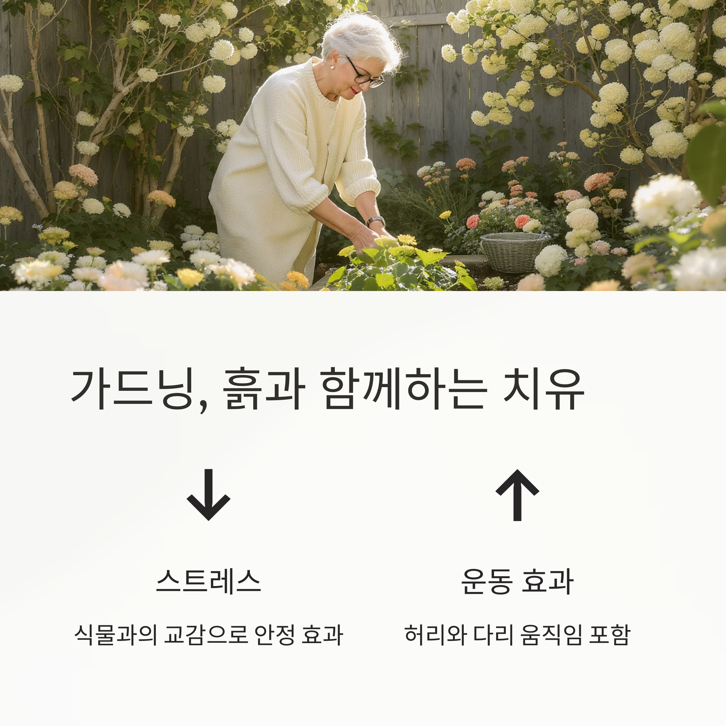 중년을 위한 행복한 취미 생활 추천 리스트 8가지