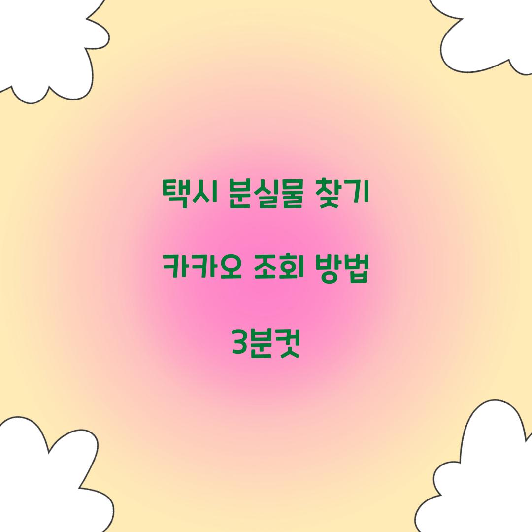 택시 분실물 찾기