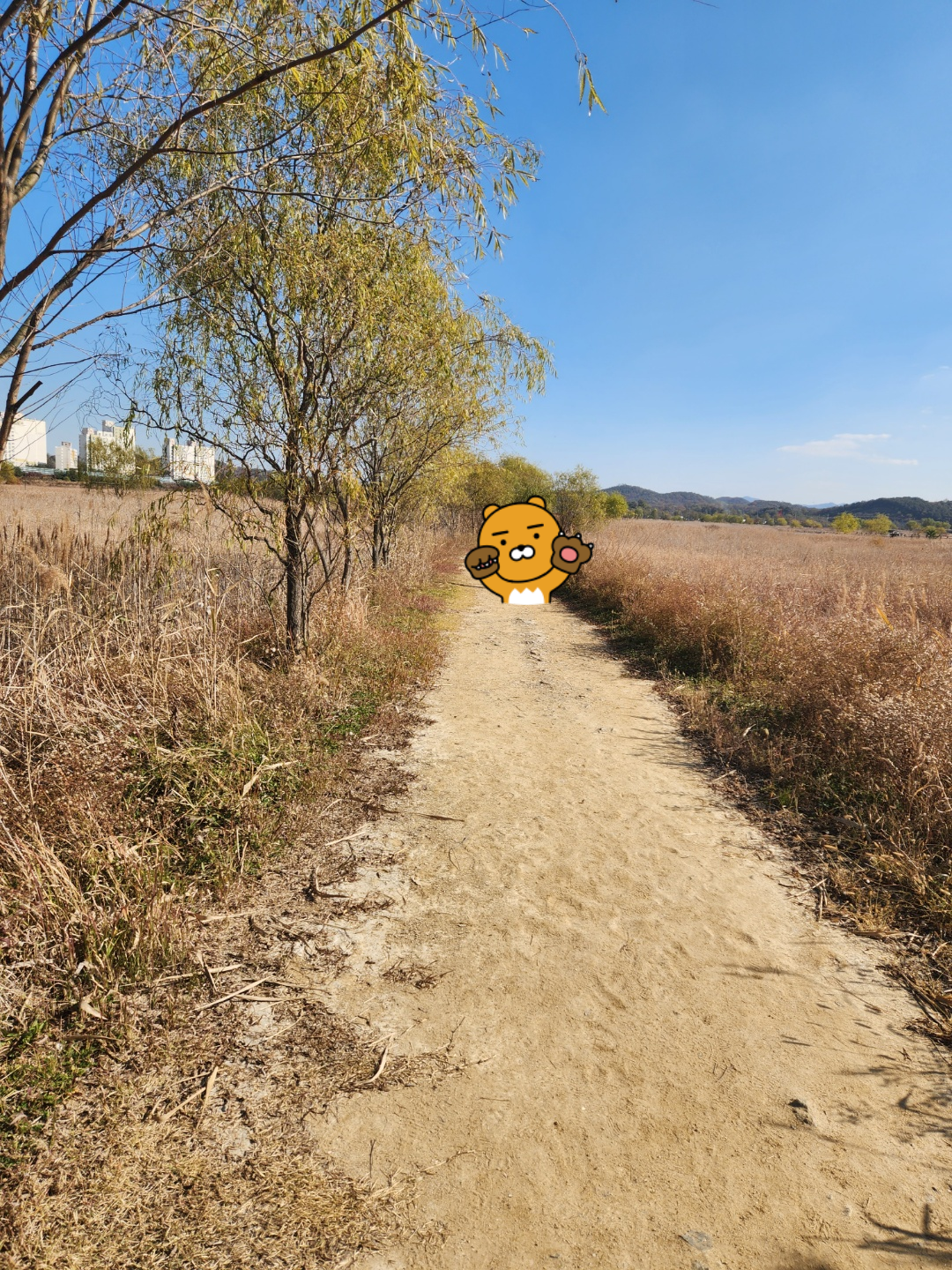 소래습지생태공원 오솔길