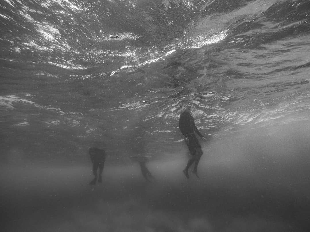 Wetsuit