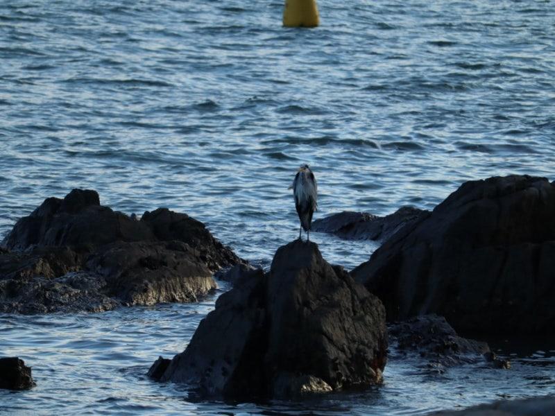 부산 가볼만한 곳 베스트 10