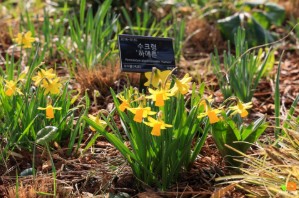 태안 추천 관광지 베스트10 관련 사진