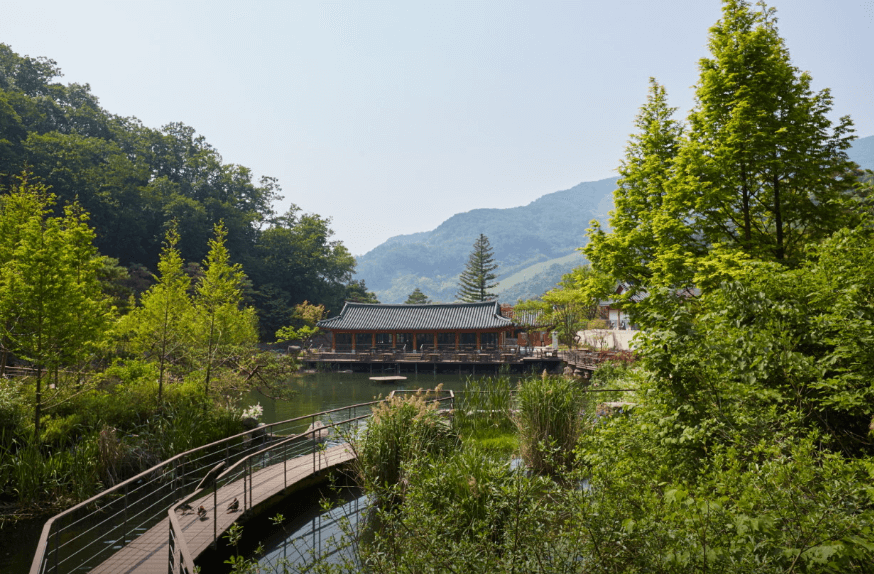 단풍축제 화담숲