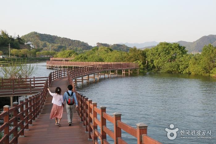 예산 느린 호수길